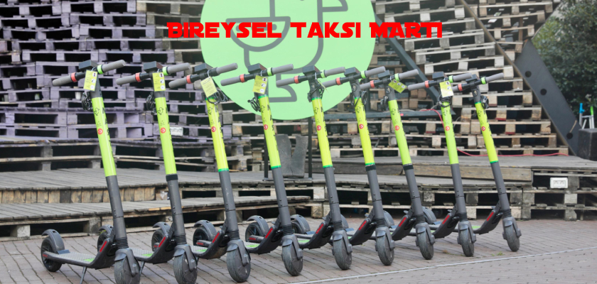Martı Nedir, Nasıl Kullanılır?